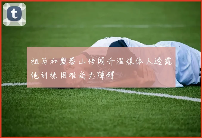 祖马加盟泰山传闻升温媒体人透露他训练困难尚无障碍