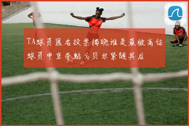 TA球员匿名投票揭晓谁是最被高估球员申京夺魁戈贝尔紧随其后